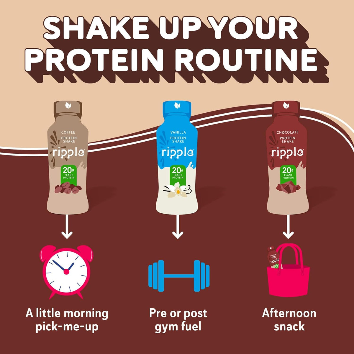 Ripple Chocolate Plant Based Protein Shake | 20g of Quality Sourced Pea Protein, Calcium Rich, Cocoa | Shelf Stable | Vegan & Non GMO | Dairy, Soy, Nut, & Gluten Free | 12 Fl Oz Bottles (Pack of 12)